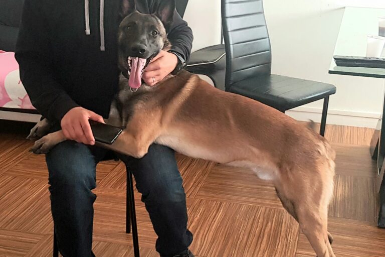 Paco