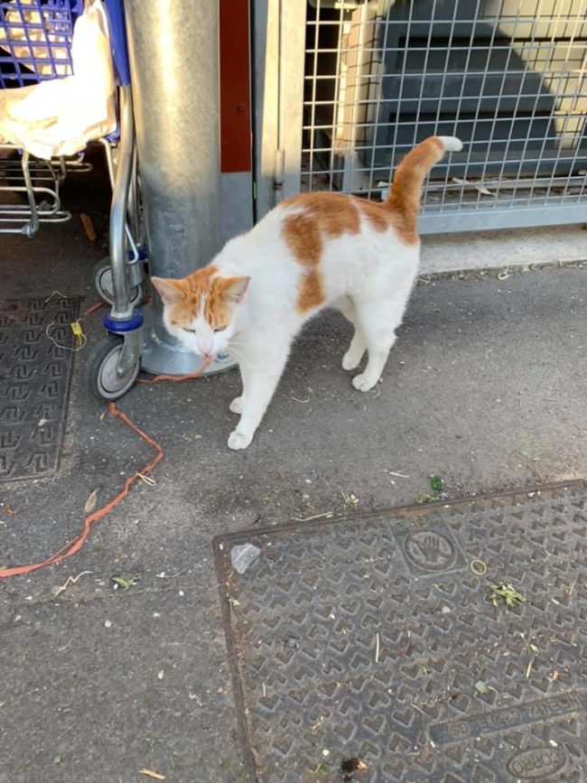 177033511_10158217278056309_7324120708858317963_n