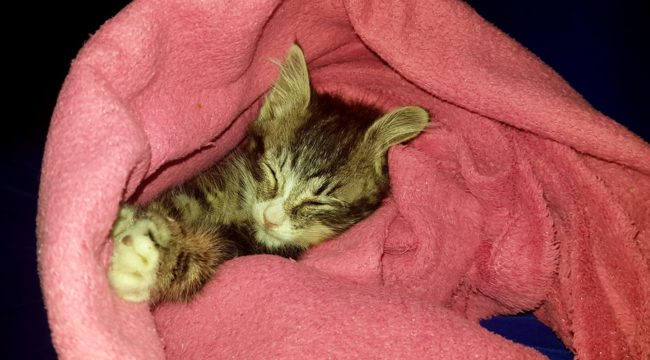 211572026_487321132416884_1473500003261464289_n