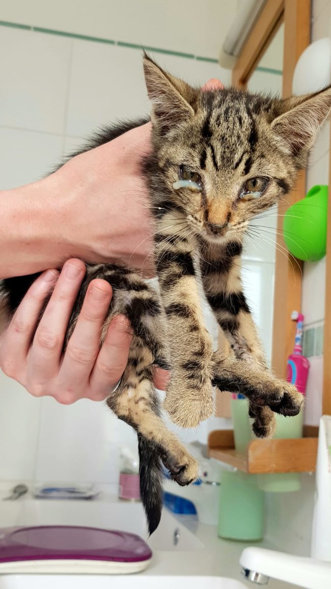 212142027_485223425959988_9153990134543651051_n