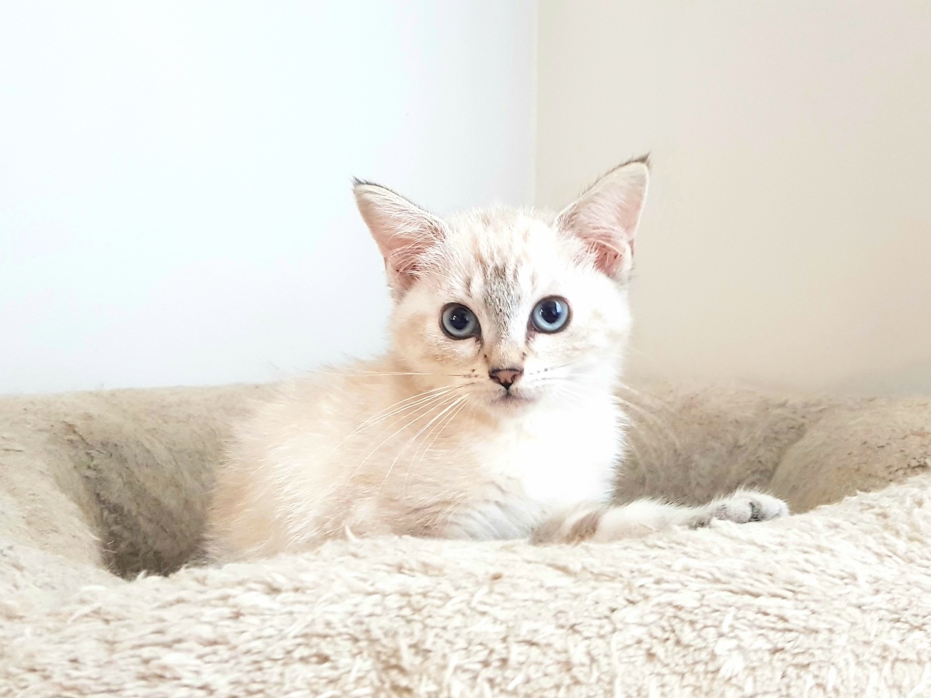 Yuki