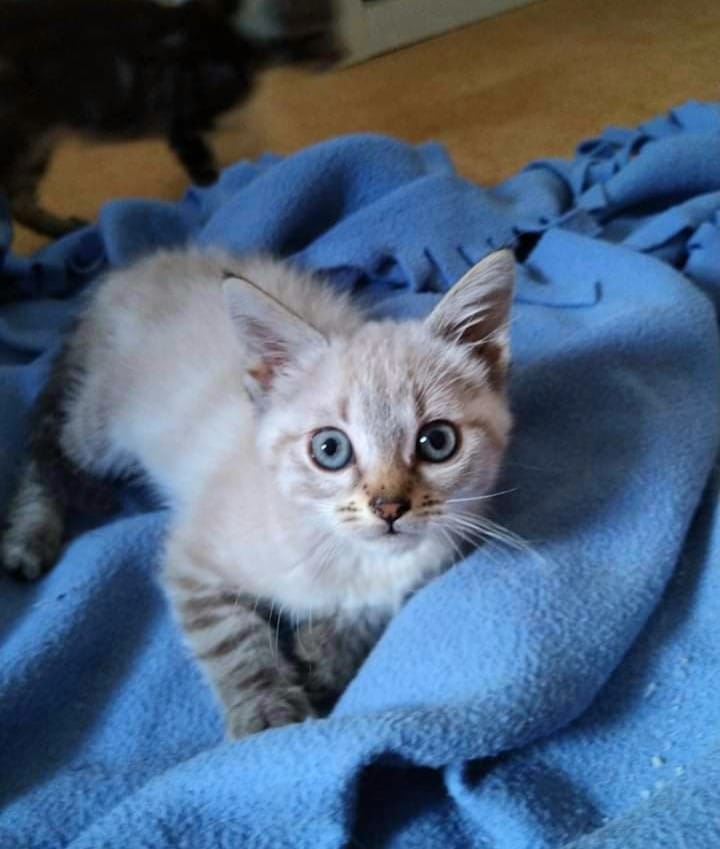 Yumi