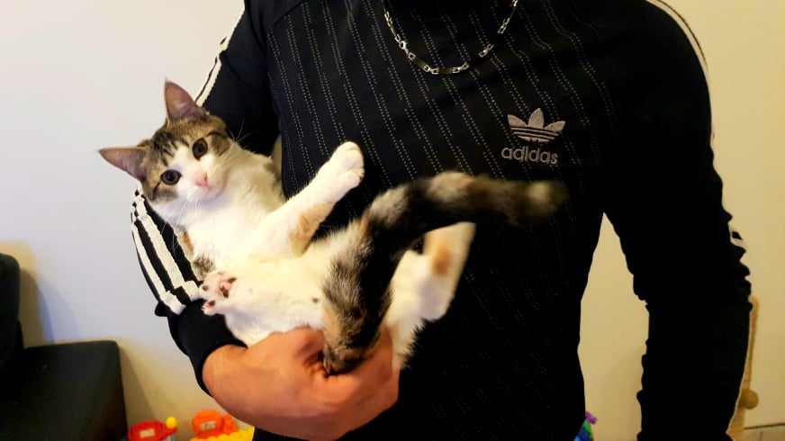 250307228_435840497974801_4358352612314965867_n