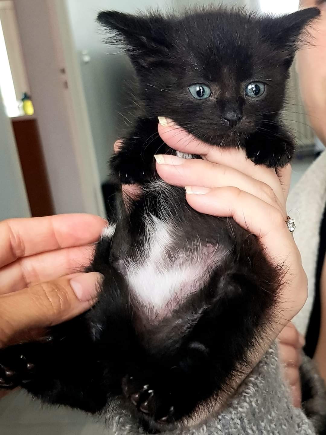 FB_IMG_1635508625678