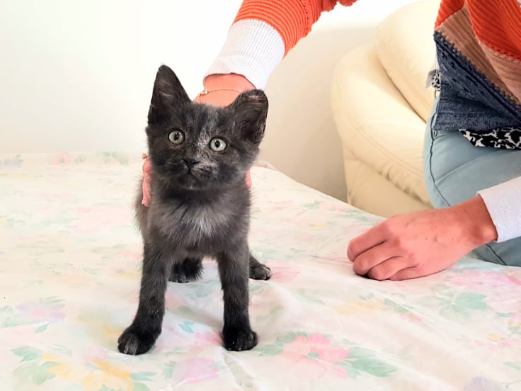 254767409_3052448031740162_7479458119394704518_n