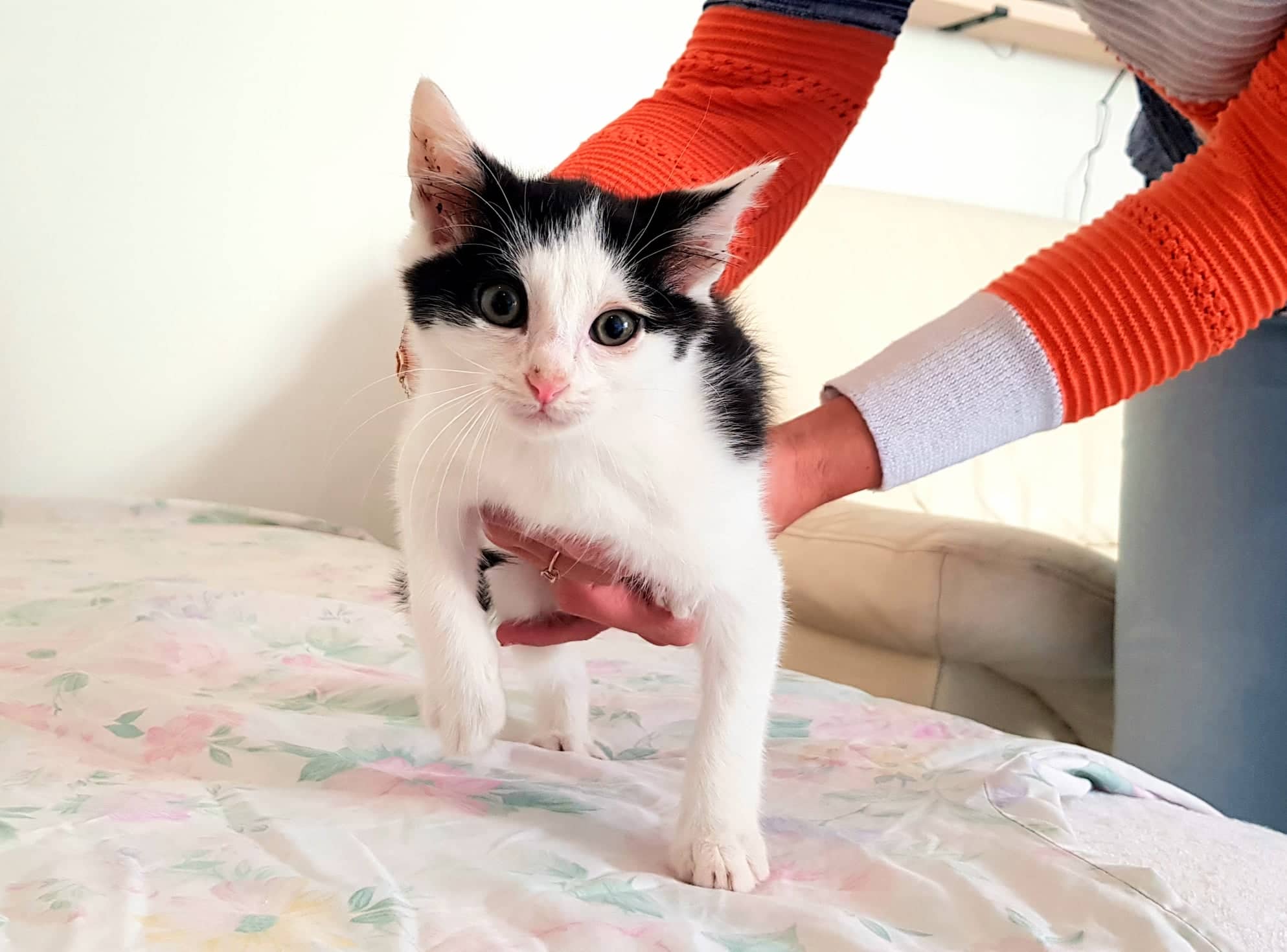 255734633_182133034038293_995076642236413328_n