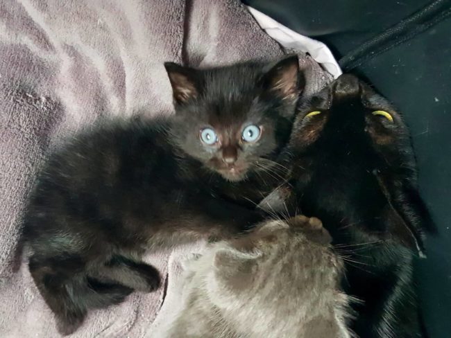 258287970_905951256982801_495597003020346851_n