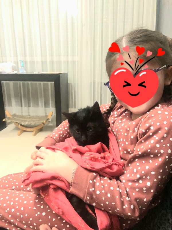 258445788_433002555006457_2796723735266311285_n