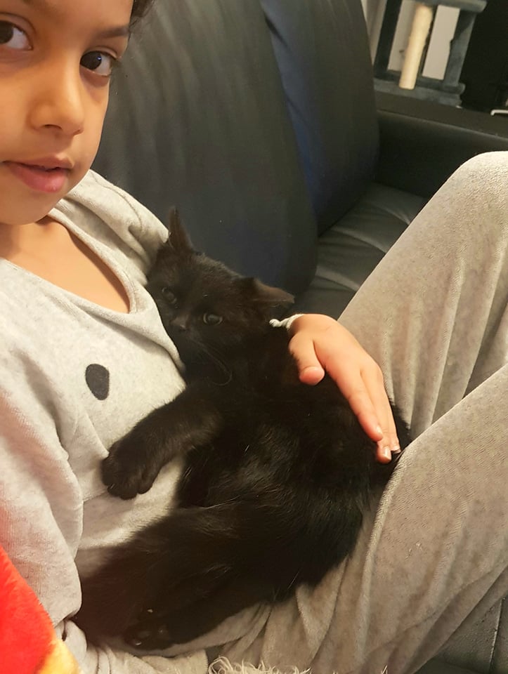 264004960_231411875783240_497211308466229445_n