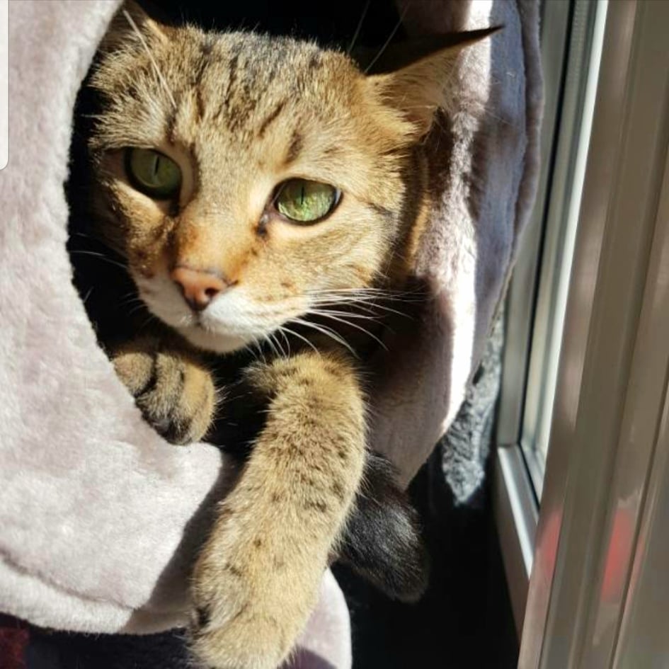 264815924_1094941451275887_6771316956178991346_n