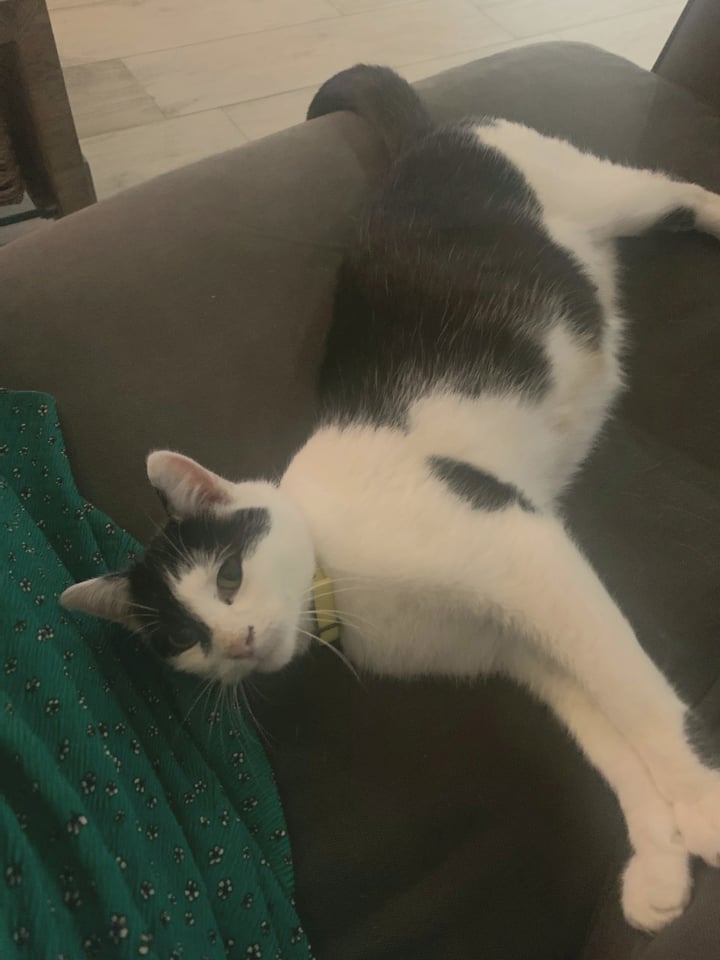 266164417_907323649969835_8922309796159618151_n