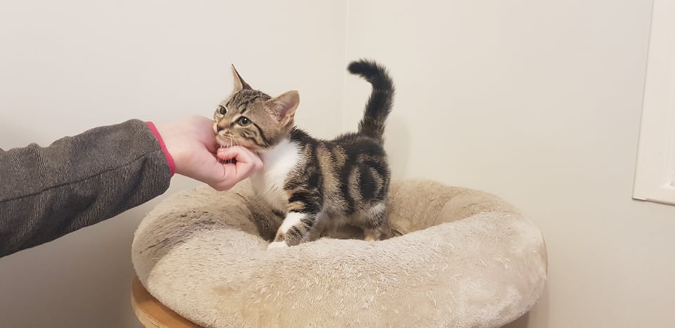 266765484_340109340830410_7634208908745515708_n