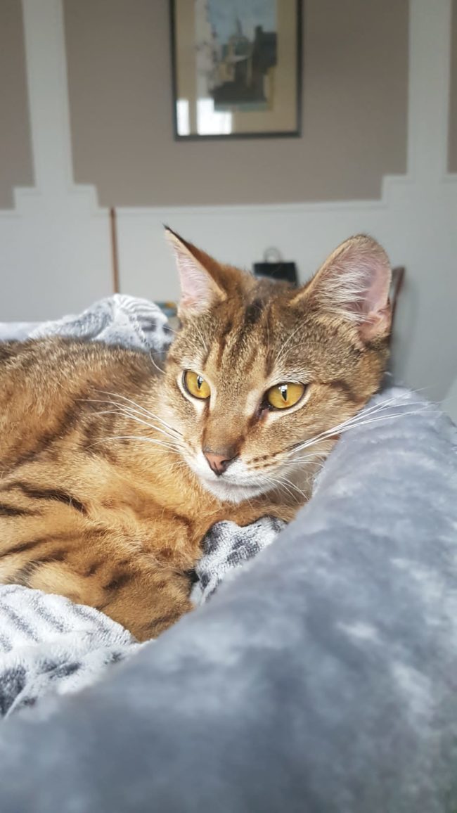 624952aa1ed82496983656