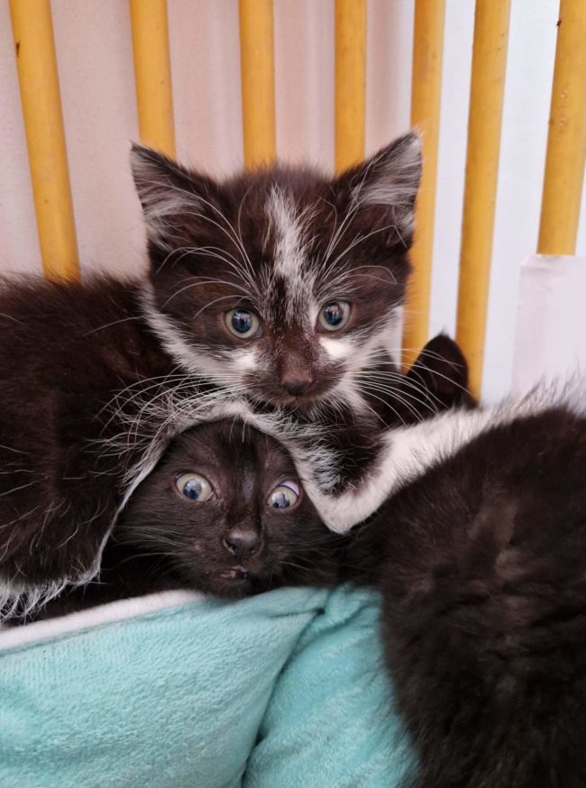 6261bcbcdf735097941283