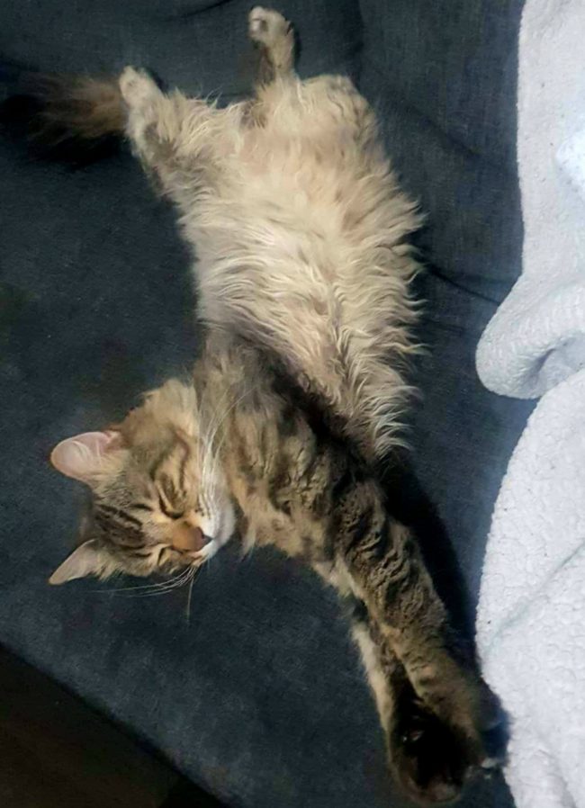 received_399759865302284