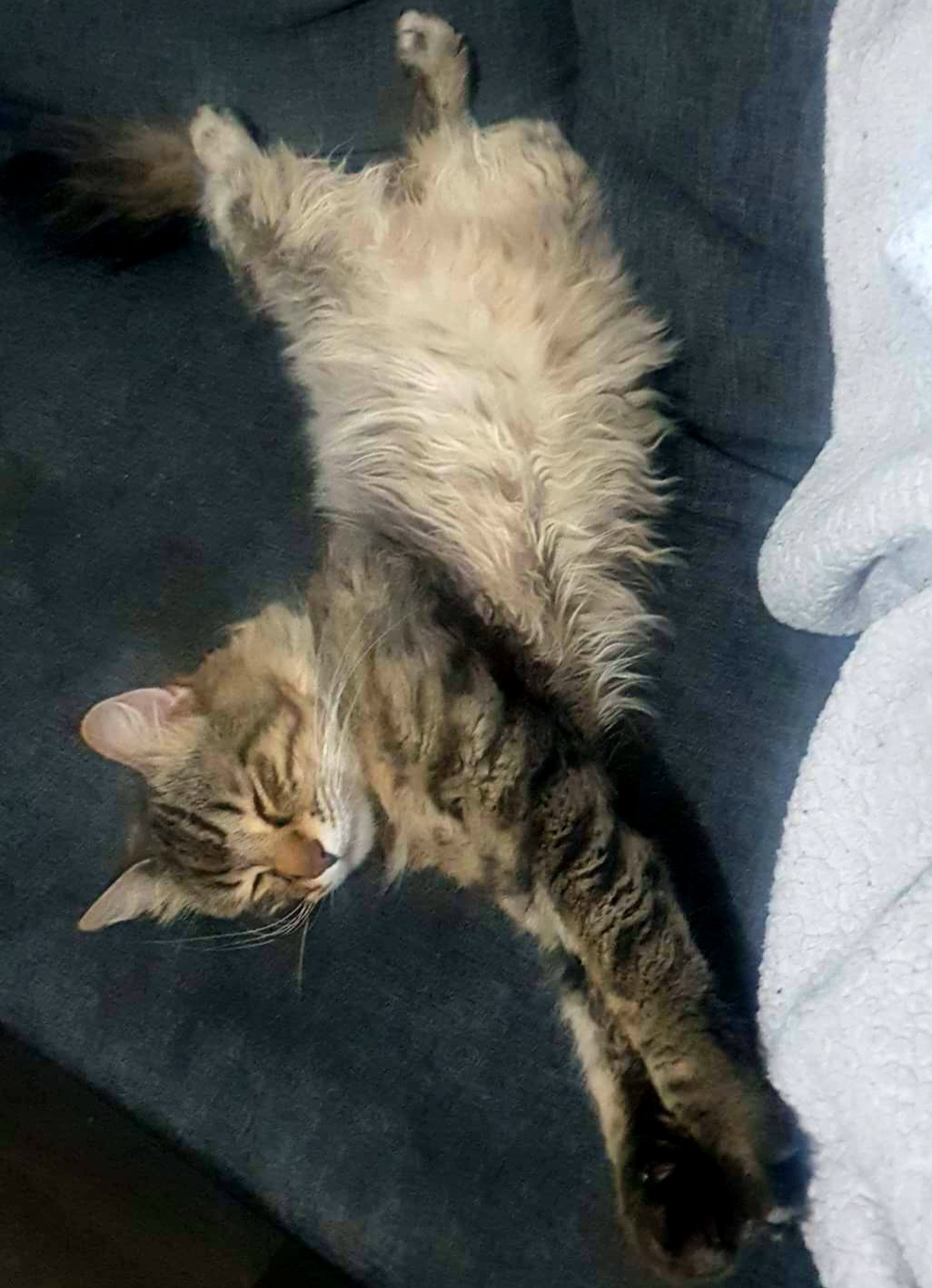 received_399759865302284