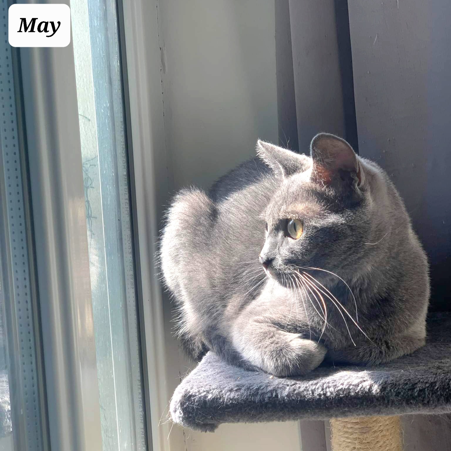 received_280826257562030