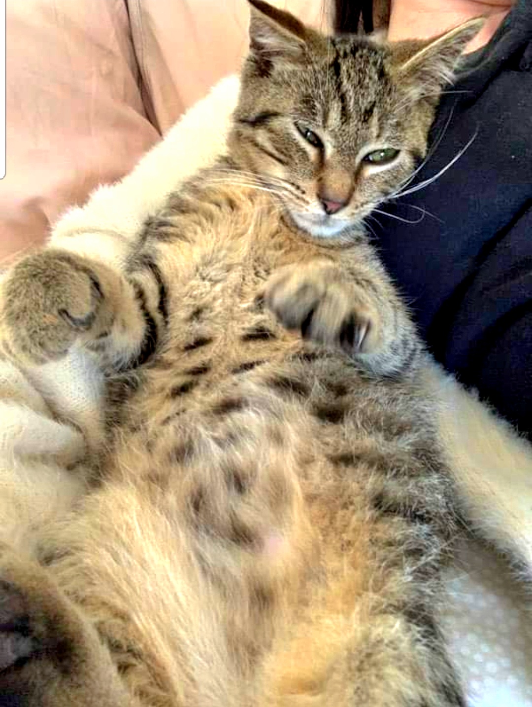 Screenshot_20220612-191607_Facebook