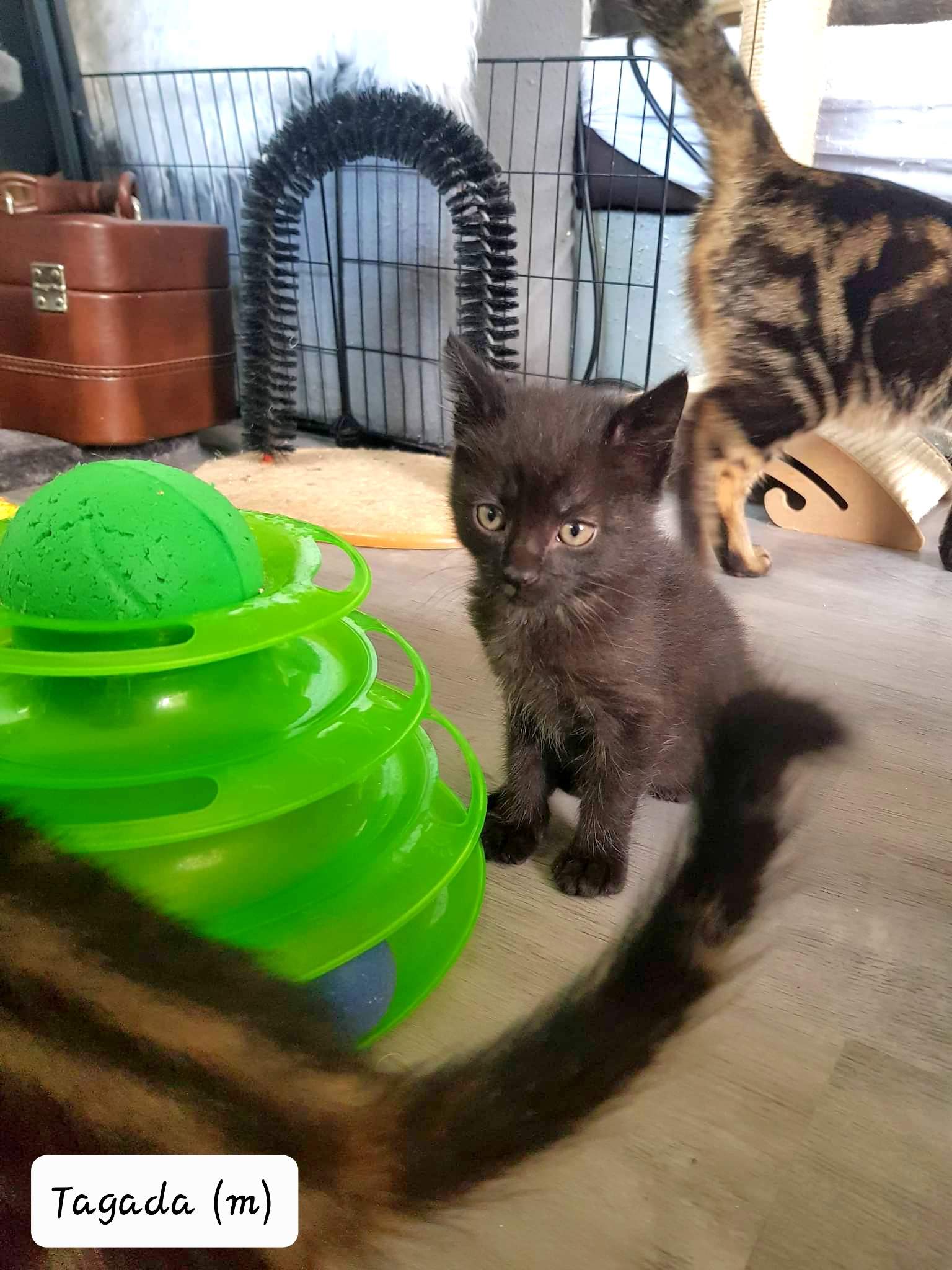 received_1005728423478316