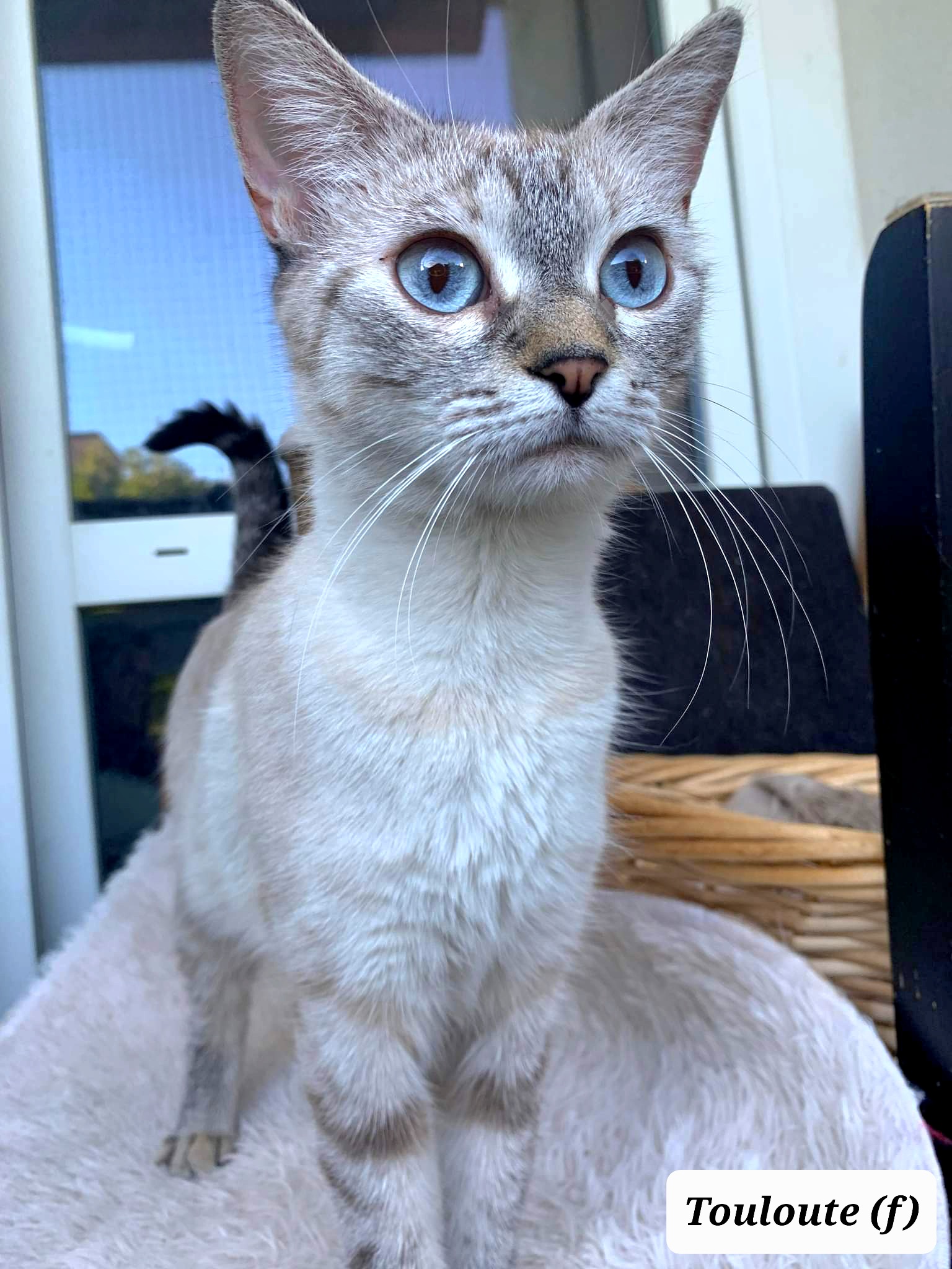 received_3228409597444680