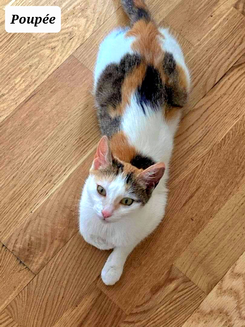 received_353306653554948