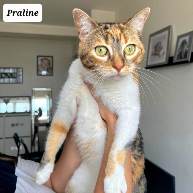 299154497_629101168639083_3599608245213495449_n