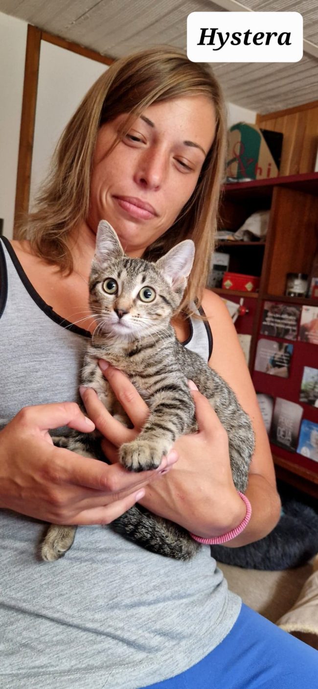 299954513_737773617516956_5362088448237458372_n