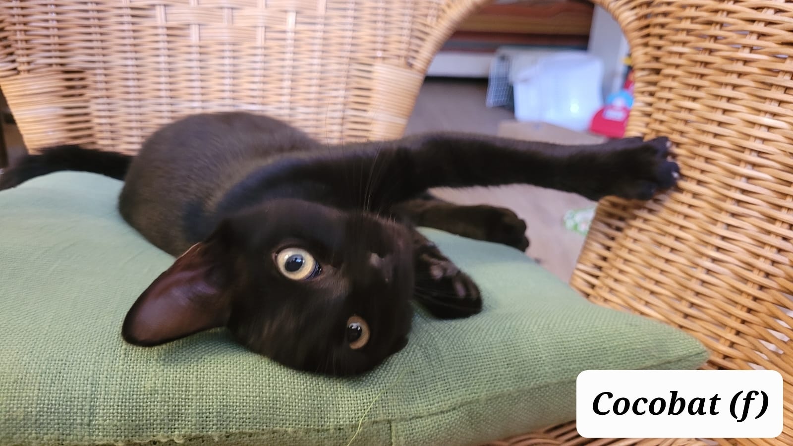 302478613_790339258781735_5803267778946162106_n