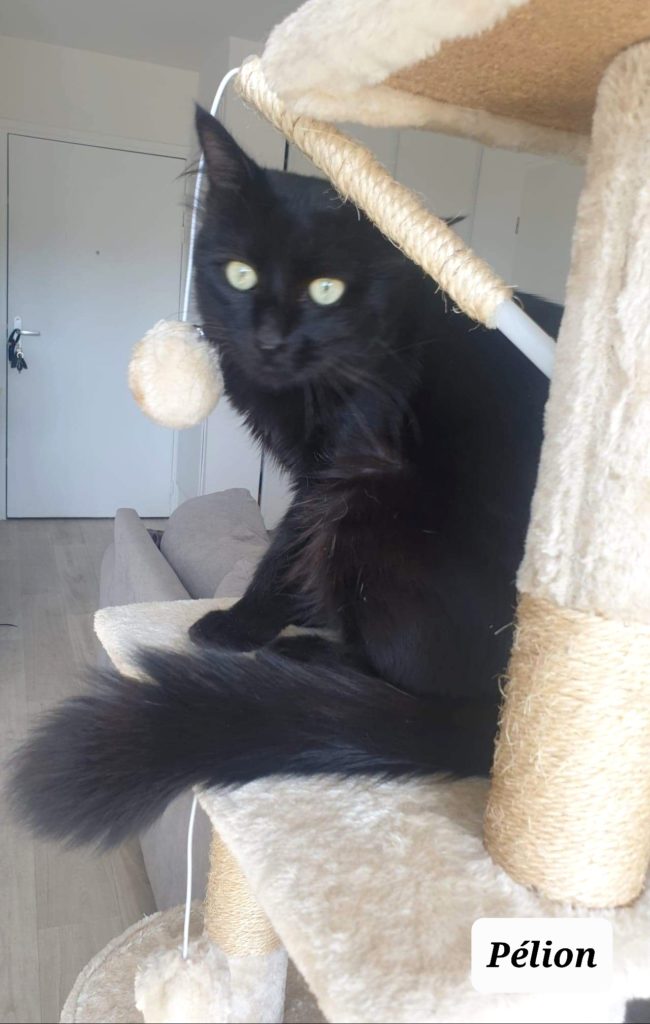 received_1081689485785535