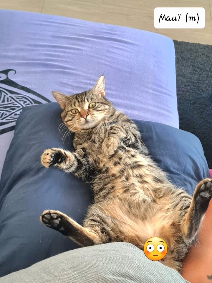 305103143_797271121421882_8016778442502539699_n