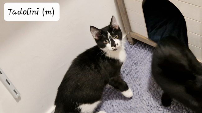 6336df33a1e48111368192