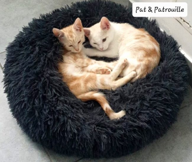 633746ac7a8d3806292218