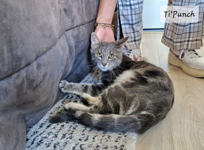 63374c09e323c057013006