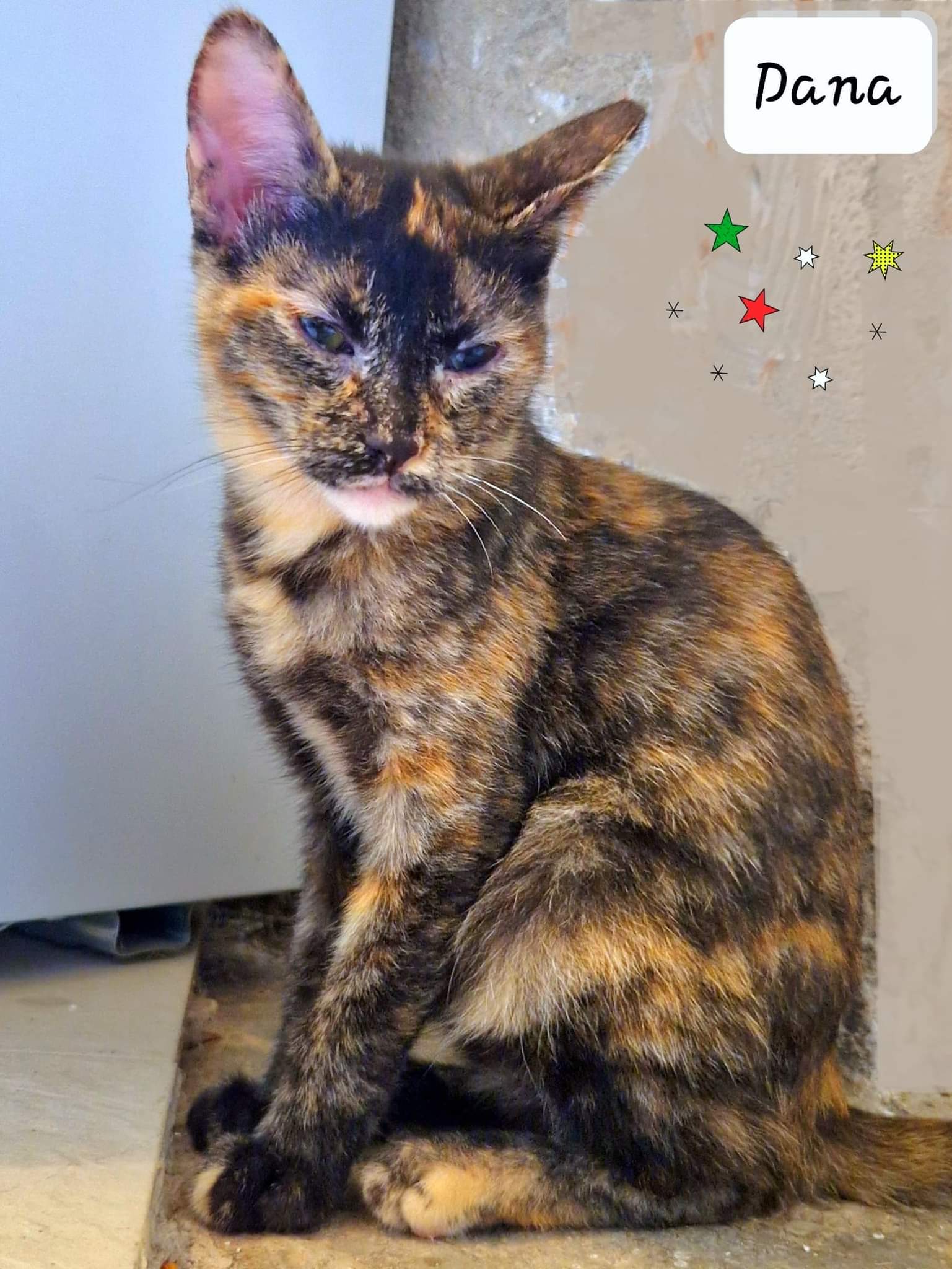 received_1104786293800029