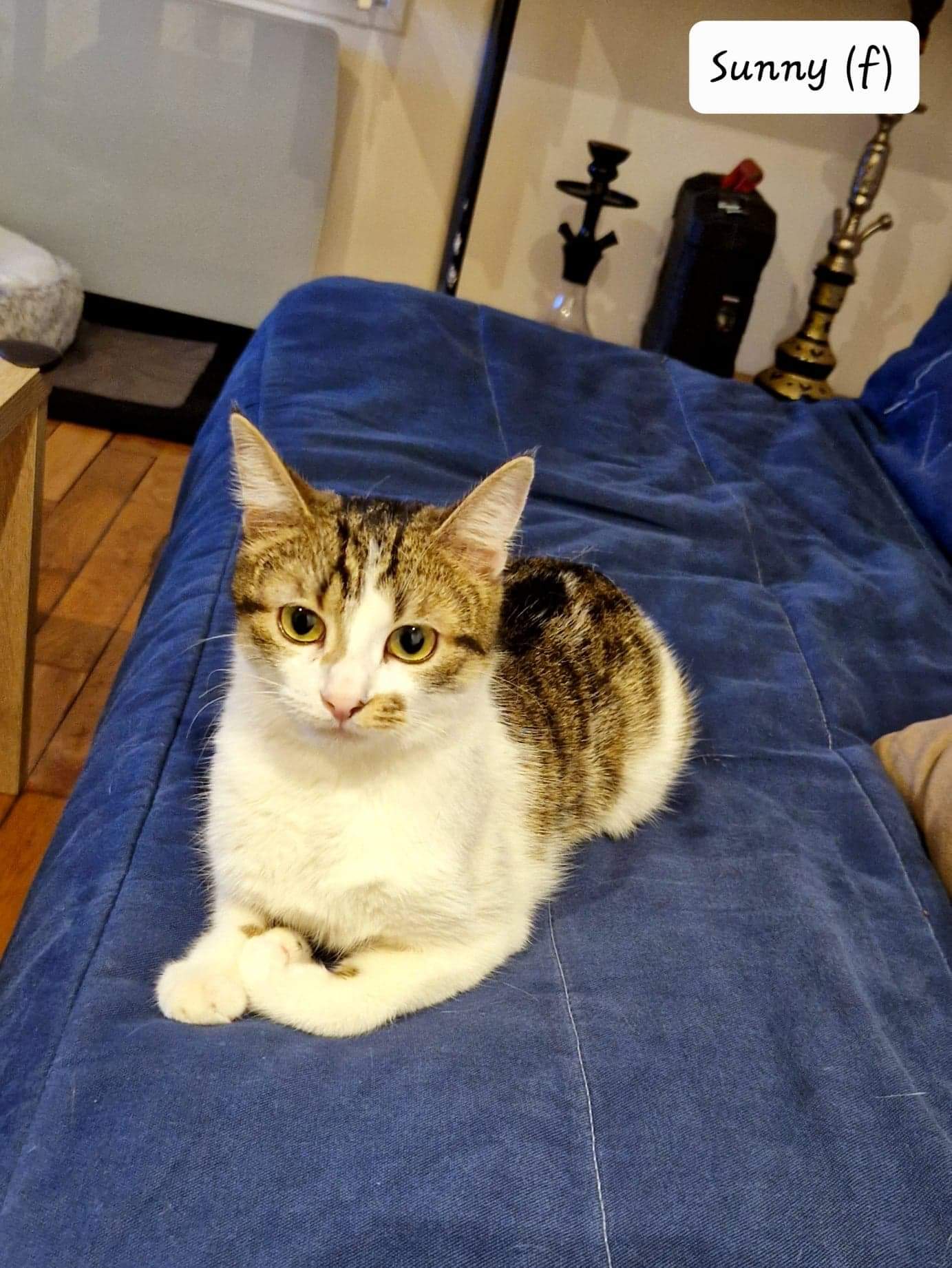 received_832559901116783