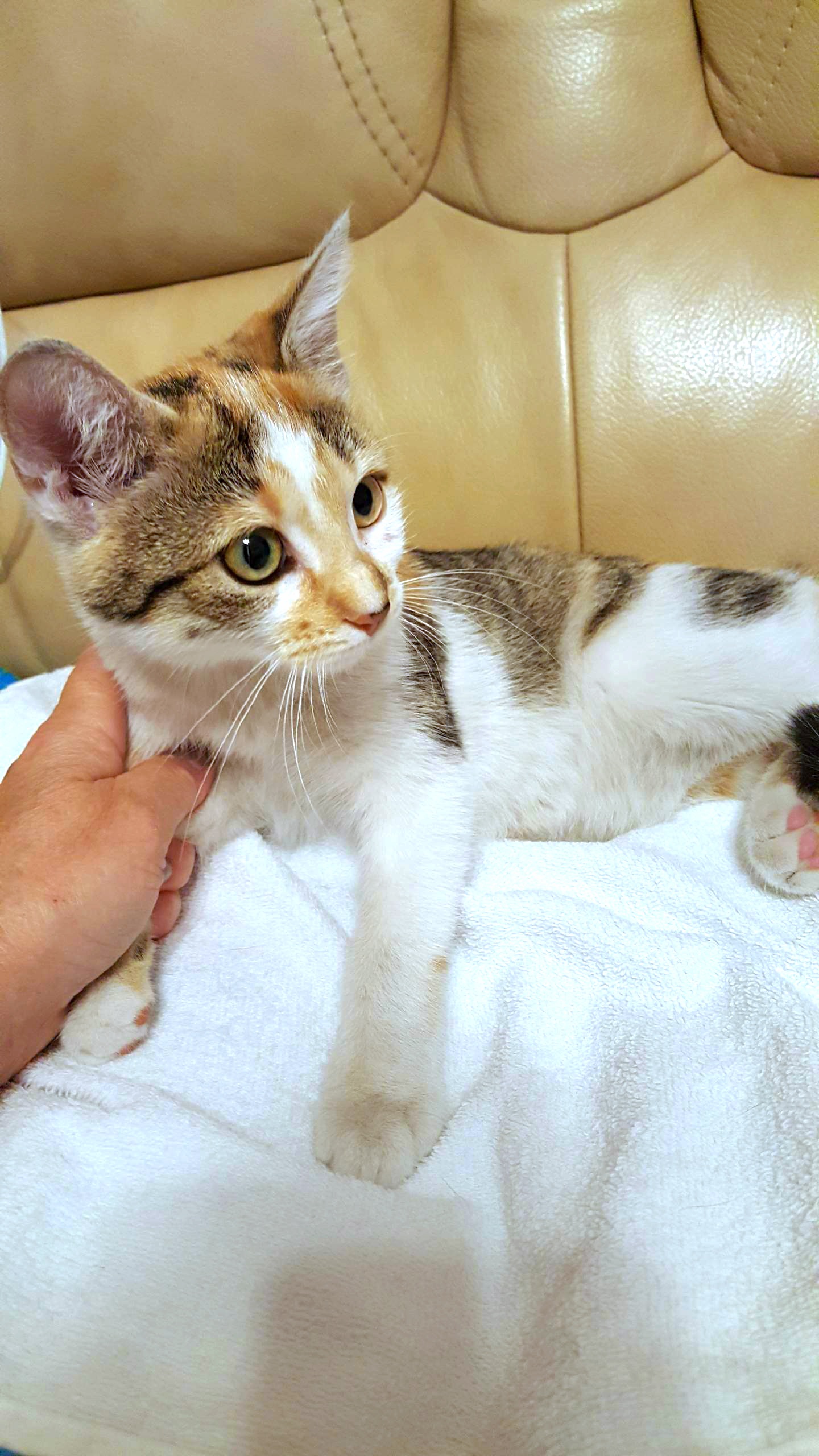 633886dc2be7f666234968