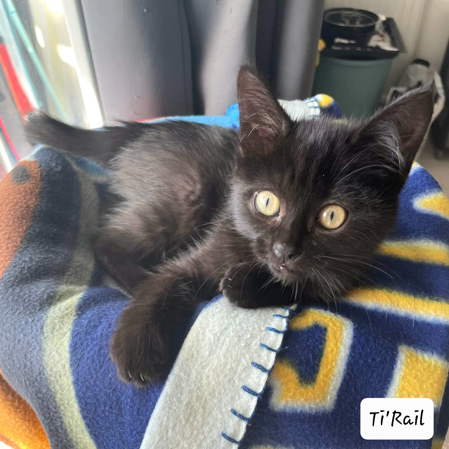 received_646274557177936