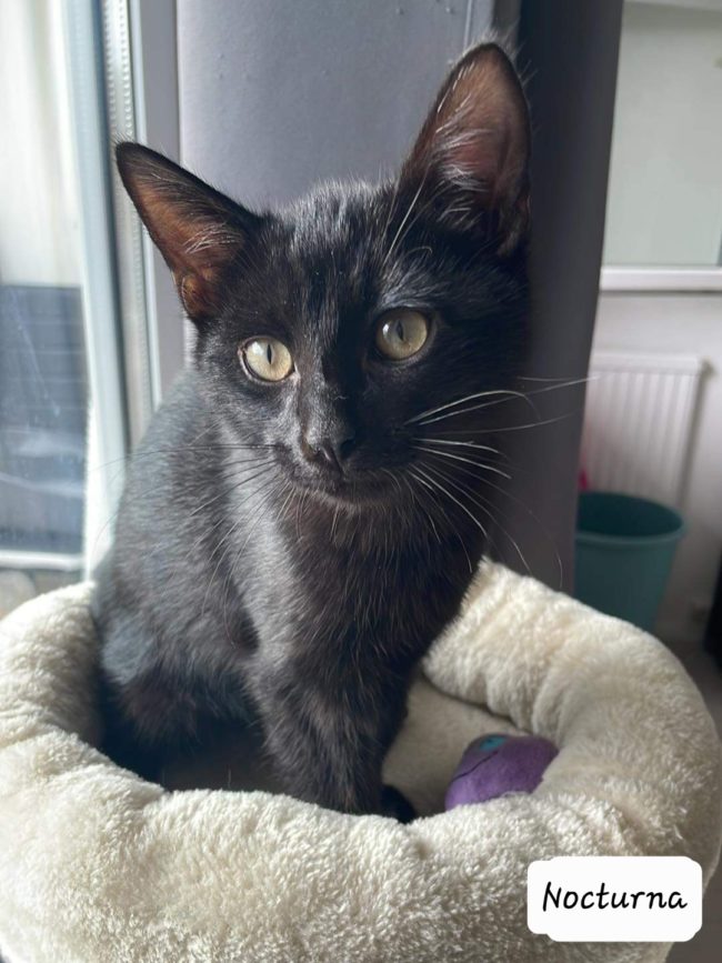 received_773337687076759