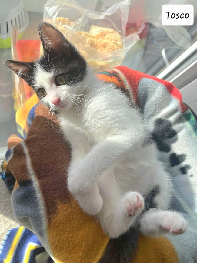 received_816633842744109