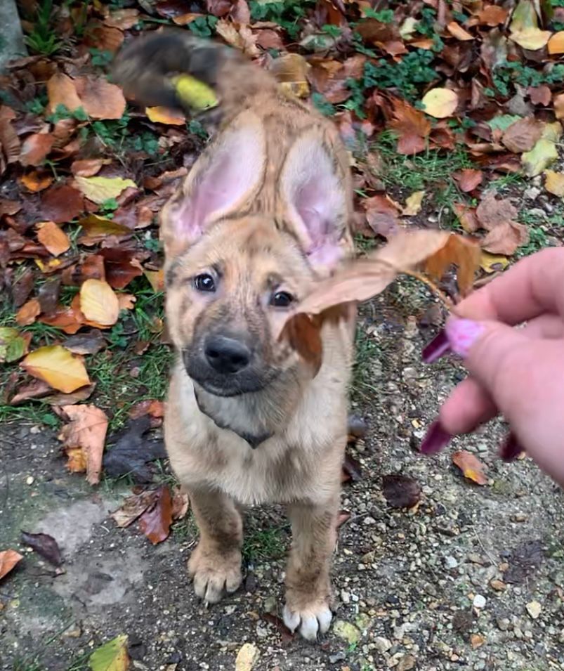 638b7cc99d404328847140