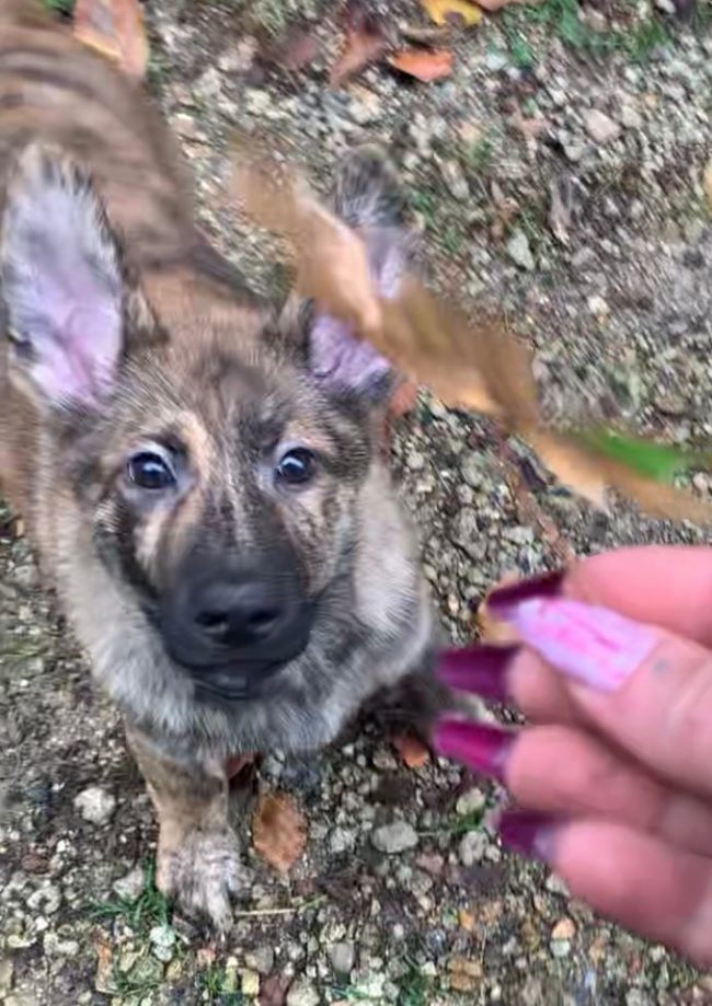 638b7cc99dd6b231104638