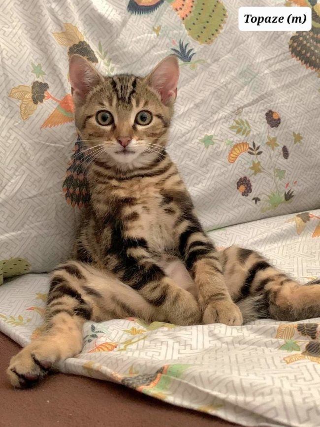 FB_IMG_1669928748249