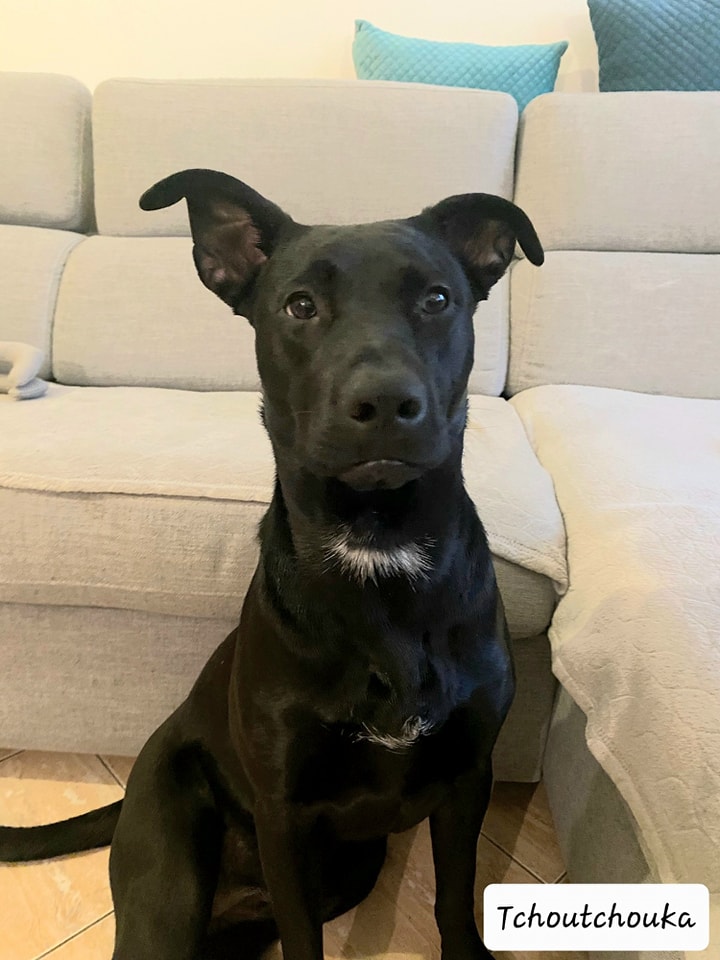 334139123_595397512496986_2970522018851318492_n