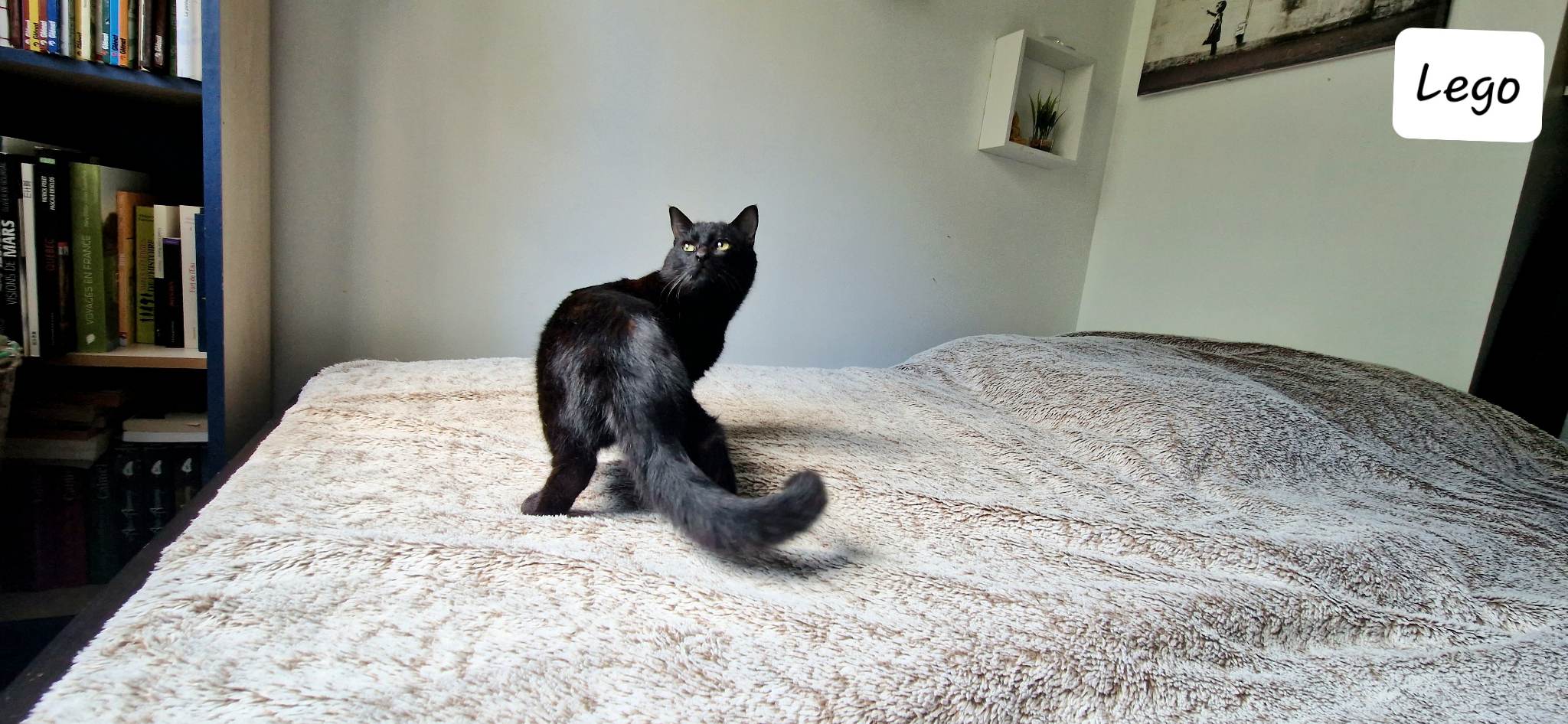 received_1490605304804730