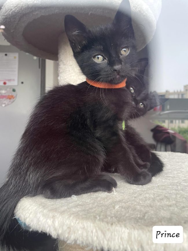 received_1642449069605921