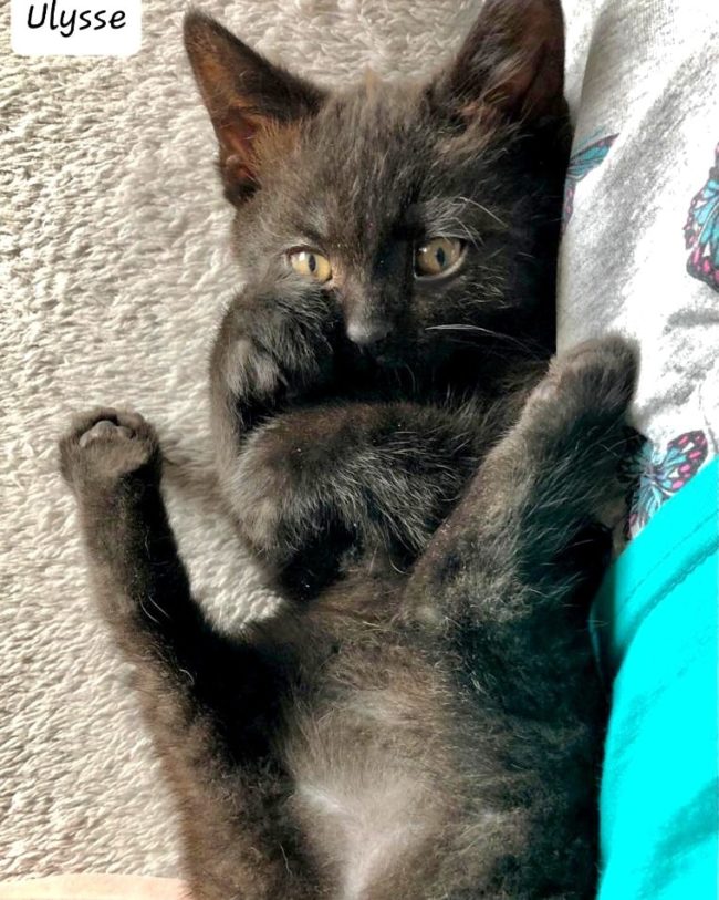 354649052_637467945095235_3286072484361756227_n