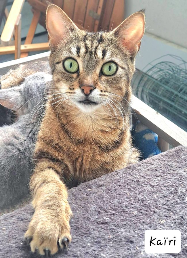 received_942874923496814