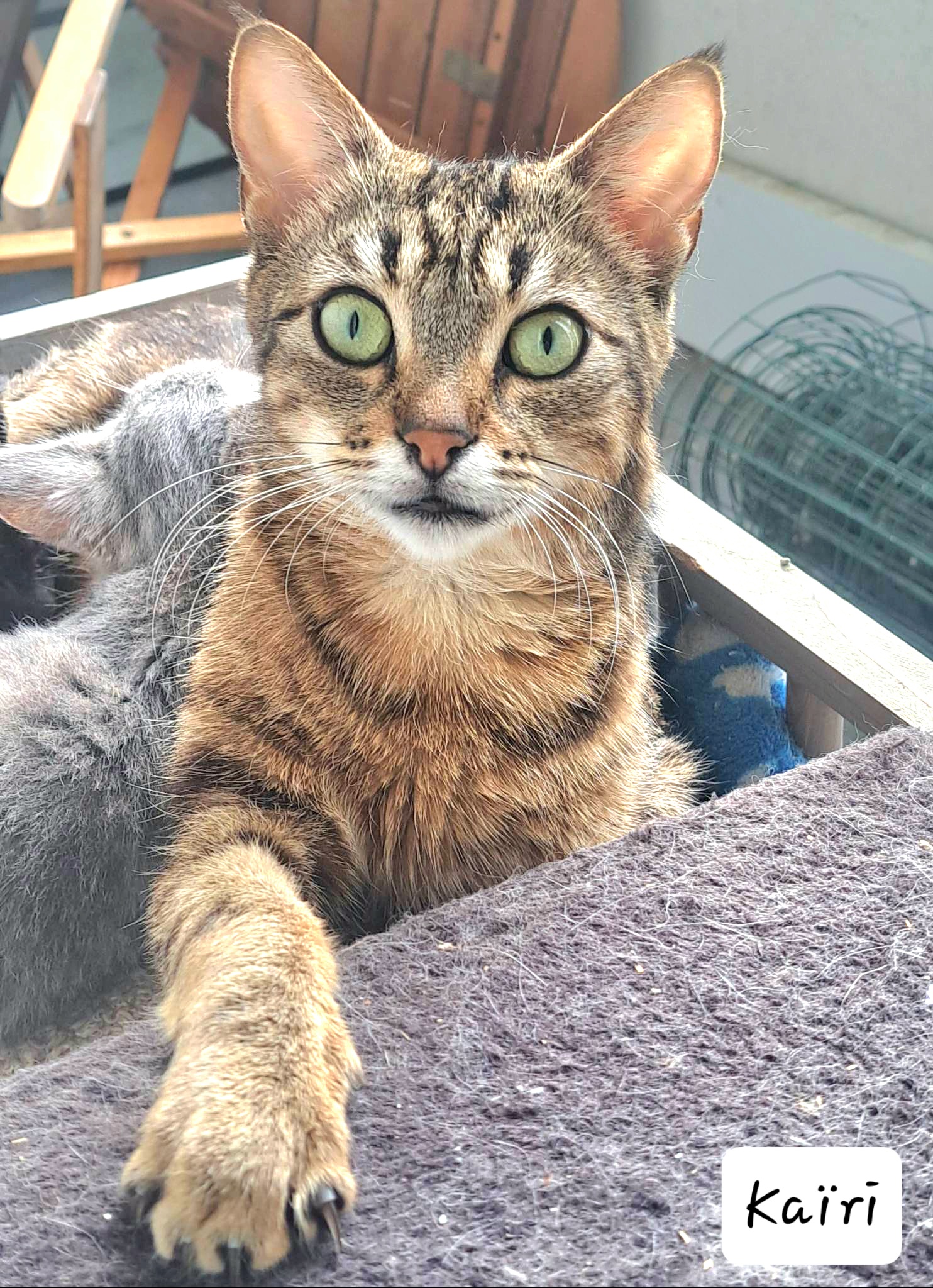 received_942874923496814