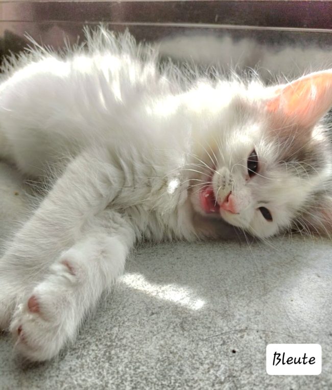 649c779187d32977808009 (1)