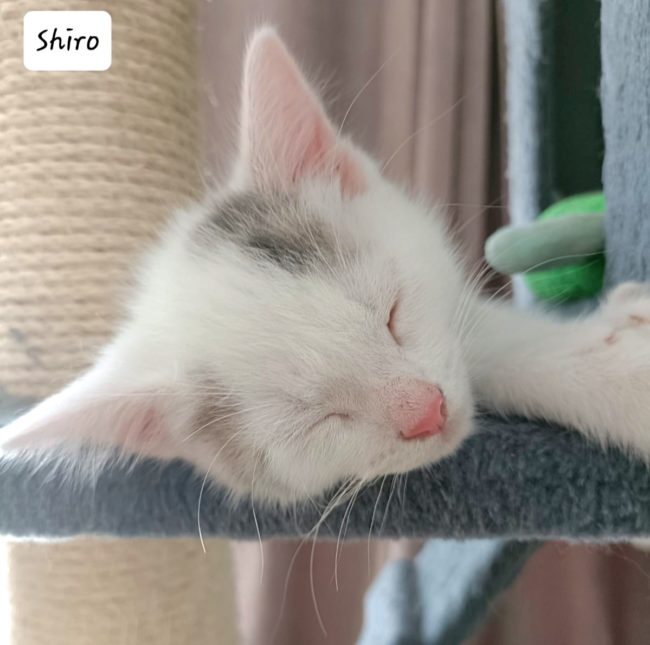 649c7888aee36845786688